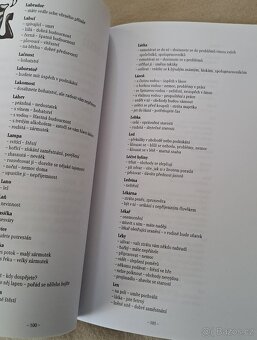 Kniha Moderní snář Heleny Růžičkové - 5