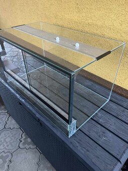 Skleněné terarium - 5