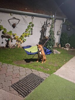 Daruji do dobrých rukou - 5