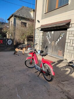 Moped Cimatti 50 ccm - 5