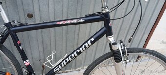 Superior Blackbird - 5