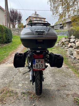 Honda Transalp 650 A2 - 5