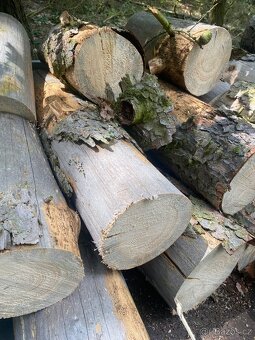 Palivové dřevo SUCHÉ ihned k topení - 5