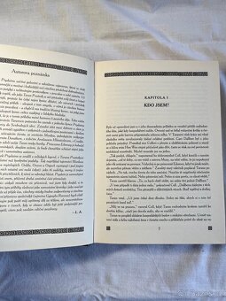 Kroniky Prydainu - kniha druhá - Lloyd Alexander - 5