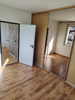 Pronájem bytu 2+1 - 5