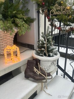 Historické brusle Alpina s čepelemi Sheffield, - 5