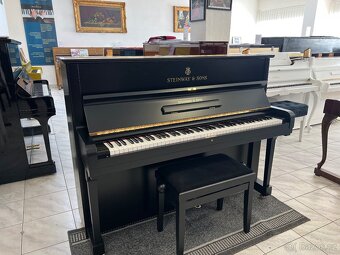 Steinway &Sons se zárukou 2 roky, doprava zdarma. - 5