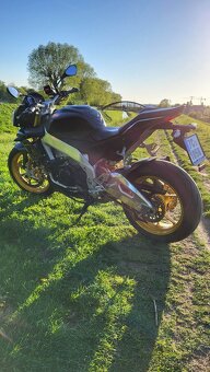 Aprilia Tuono V4R - 5