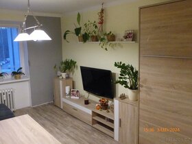 Prodej bytu 2+1, OV, 54m2, Meziboří u Litvínova - 5