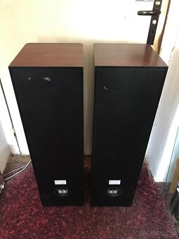 ASW Cantius ml V - 5