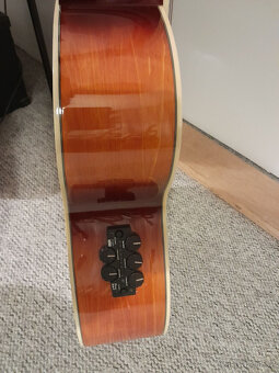 Kytara IBANEZ AEL20 - 5