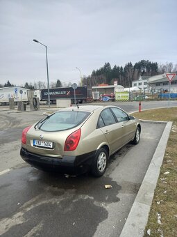 Primera P12 1.9 dci - 5