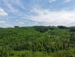 Prodej lesní pozemek, 7 184 m², Koryčany, Kroměříž - 5