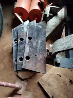 Pluh tříradličný - 5