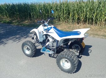 Suzuki LTZ 400 - 5
