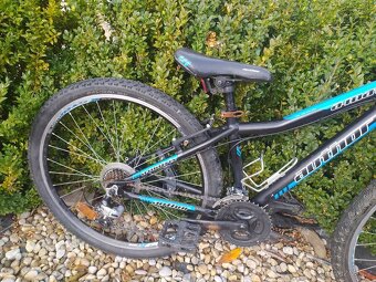 Dětské kolo Author A Matrix, velikost 26" - 5