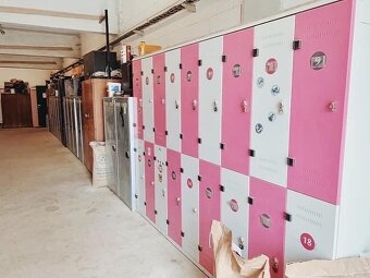 Jezdecký areál Eden – ustájení koní - 5