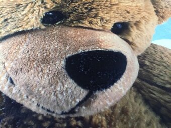 Dětský koberec Ultrasoft Medvídek modrý (N.O.V.Ý) - 5