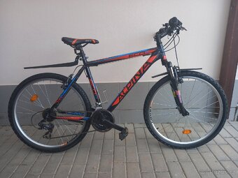 Kolo Alpina - 5