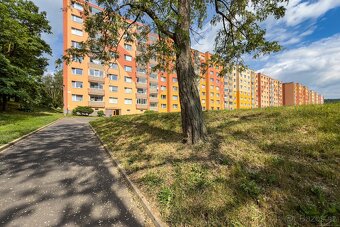 Pronájem, byt, 1+1, 35 m2, Jirkov, SNP ul., ev.č. 00685 - 5