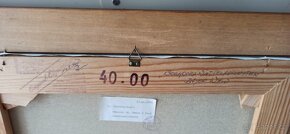 Obraz na plátně - 5