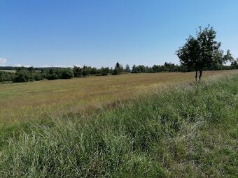 Pozemek 6 ha pro rekreaci, ranč v přírodě Krušných hor - 5