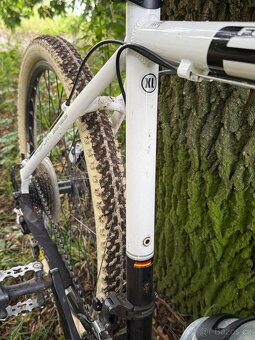 Mtb Focus - 5