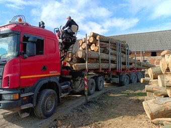 PRODEJ PALIVOVÉHO DŘEVA +DOPRAVA ZDARMA - 5