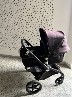 Kočátek Bugaboo Lynx - 5