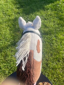 hobby horse - 5