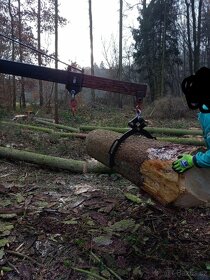 Kleště na dřevo - 5
