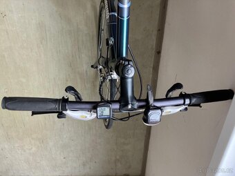 Dominator Champion pro - 5