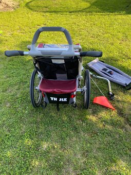Thule chariot cx1 - 5