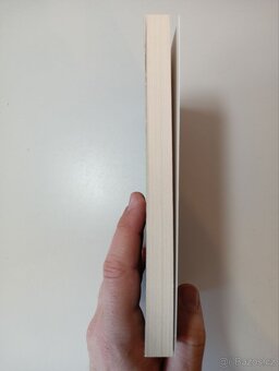 Nejkrásnější Měsíční kroniky: Příběh Levany - Marissa Meyer - 5