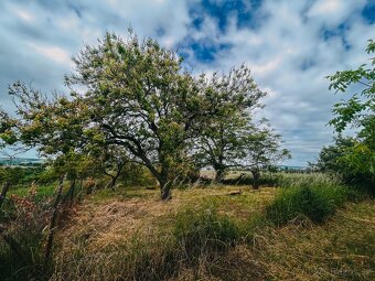 Zahrada Kyjov Sliny, plocha 1049m - 5