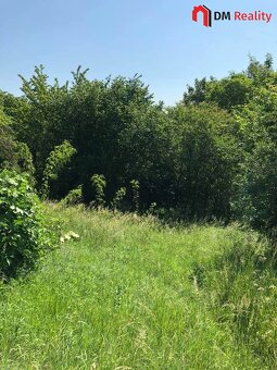 Prodej zahrady 5231 m2, Dalovice - 5