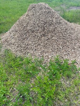 štěpiny Akácie - 5