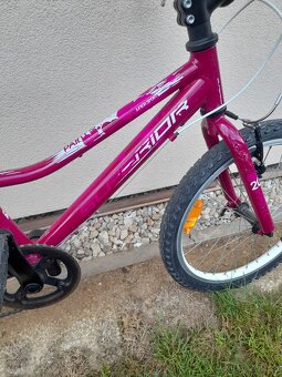 Superior Paint 20"- PĚKNÉ - 5