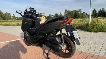 Honda Forza 125 Special Edition 2024 - 5