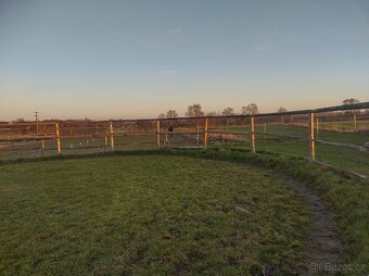 Ustájení koní - 5