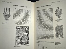 MAGICKÁ  KUŘIDLA   /   Josef Veselý - 5