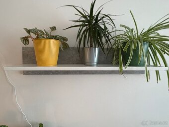 Obývací stěna - 5