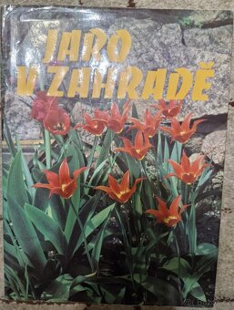Encyklopedie, odborné, beletrie, dětské... - 5