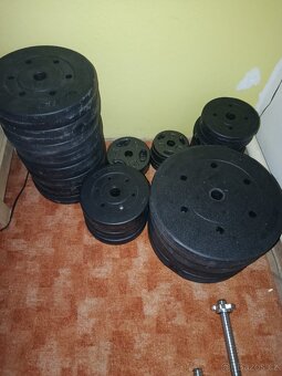 Činky,lavice , věž,hrazda - 5