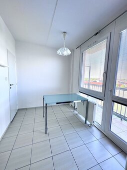 Pronájem pěkného bytu s úložnými prostory a lodžií v přímém - 5