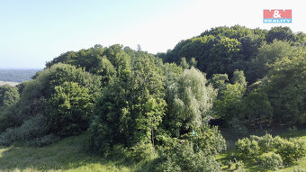 Prodej louky, 1834 m², Vlksice - 5