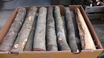 Krbova polena a zátopové dřevo - 5