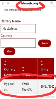 Kocourci ragdoll s PP - 5