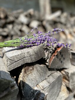 Pozemek se stavbami na okraji vesnice - 5