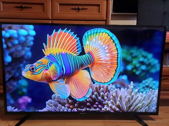 4K Smart TV 50" Hisense H50A6140-úhlopříčka 126cm - 5